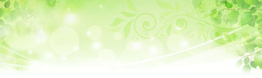 �f�W�^���J�����œ��X�͌k�J�̌i�F���B�e���悤�A���R���L���ł��I